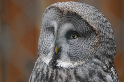 Mais il fait jour !_4298468971_l.jpg